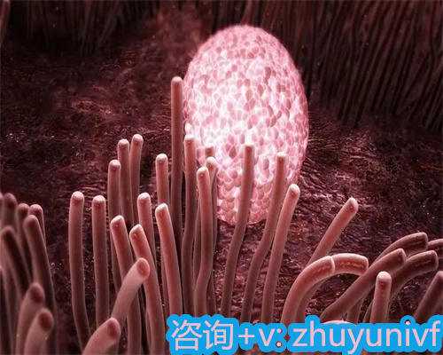 成都试管助孕：关于选择性别与专业生育解决方案的探讨