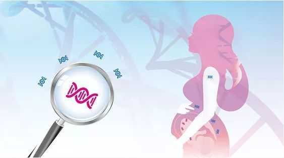 成都试管助孕：四川地区供卵代怀排队等待时间解析