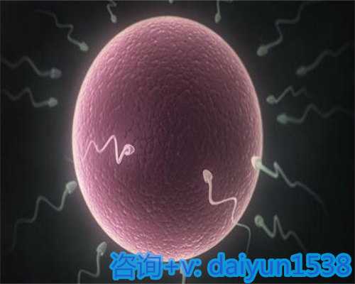 探究试管婴儿的智力优势：是先天注定还是后天培养？