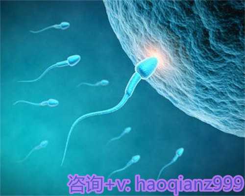 助孕新希望：探寻试管与代怀的生育解决方案