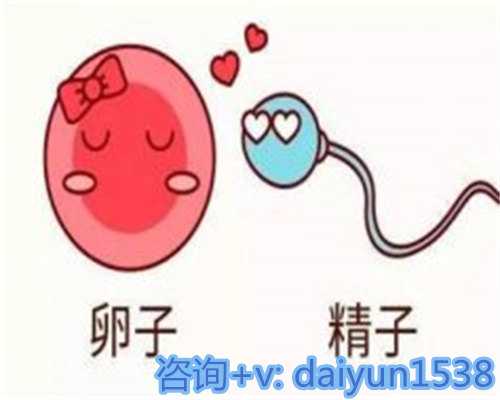 成都专业助孕：供卵试管成功案例，圆您代怀生子梦