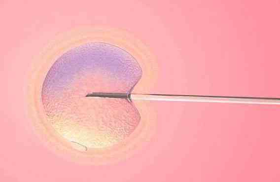 成都试管婴儿双胞胎的费用与成功率解析