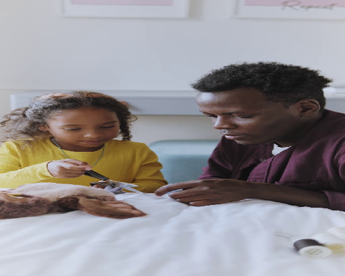 高成功率的辅助生殖技术：从首次咨询到孕育的全方位指导