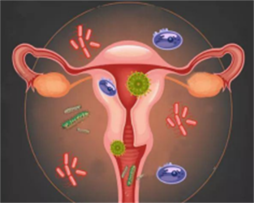 成都助孕机构：全方位解答代生、供卵及试管婴儿疑问