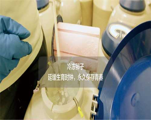 成都试管助孕：探寻供卵试管与辅助生殖的合法选择及服务指南