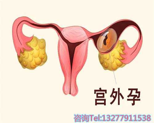 助孕妈妈的选择：科技与生育的魅力