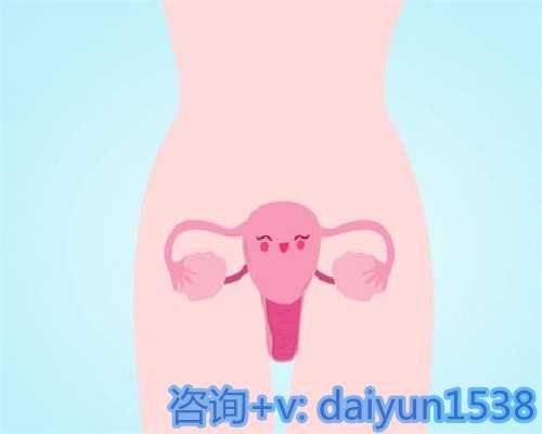 实现宝宝梦想：探索代孕与辅助生殖的成功之路